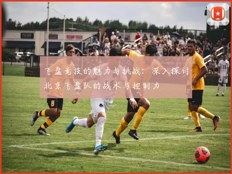 飞盘竞技的魅力与挑战：深入探讨北京飞盘队的战术与控制力