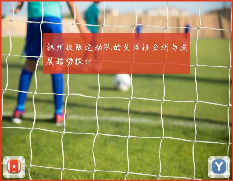 杭州极限运动队的灵活性分析与发展趋势探讨