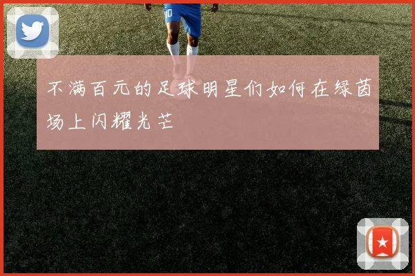 不满百元的足球明星们如何在绿茵场上闪耀光芒