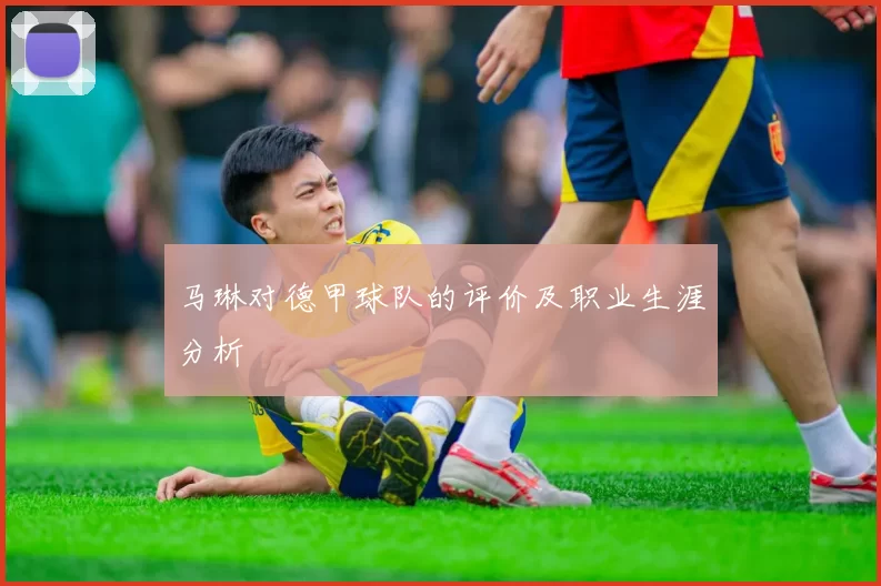 马琳对德甲球队的评价及职业生涯分析