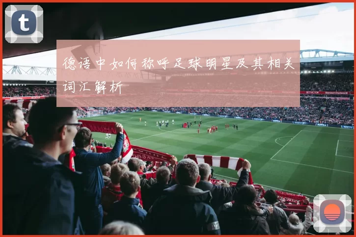 德语中如何称呼足球明星及其相关词汇解析