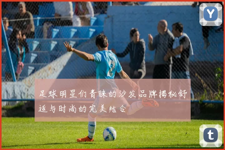 足球明星们青睐的沙发品牌揭秘舒适与时尚的完美结合