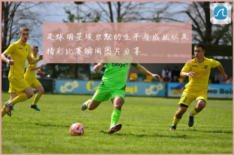 足球明星埃尔默的生平与成就以及精彩比赛瞬间图片分享