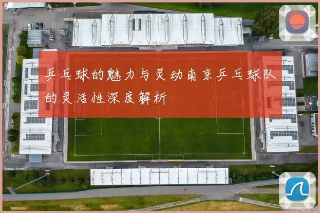 乒乓球的魅力与灵动南京乒乓球队的灵活性深度解析
