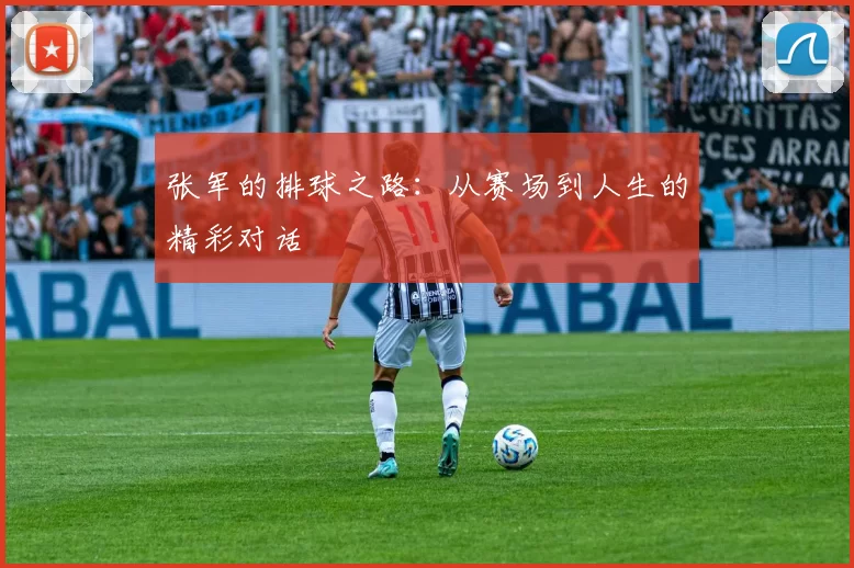 张军的排球之路：从赛场到人生的精彩对话