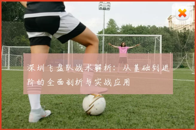 深圳飞盘队战术解析：从基础到进阶的全面剖析与实战应用
