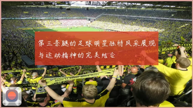 第三条腿的足球明星独特风采展现与运动精神的完美结合