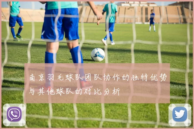 南京羽毛球队团队协作的独特优势与其他球队的对比分析