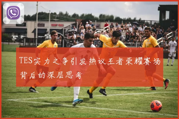 TES实力之争引发热议王者荣耀赛场背后的深层思考