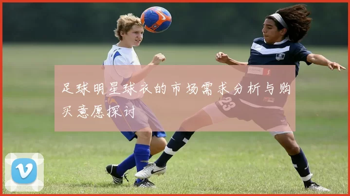 足球明星球衣的市场需求分析与购买意愿探讨