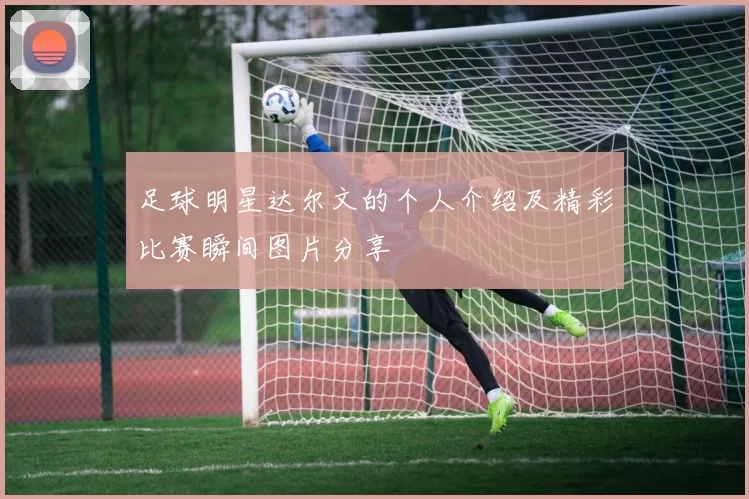 足球明星达尔文的个人介绍及精彩比赛瞬间图片分享