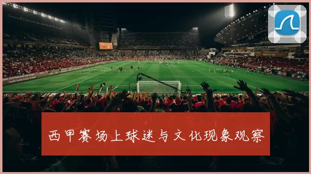 西甲赛场上球迷与文化现象观察