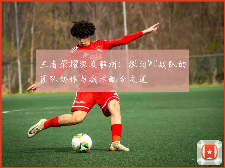 王者荣耀深度解析：探讨WE战队的团队协作与战术配合之道