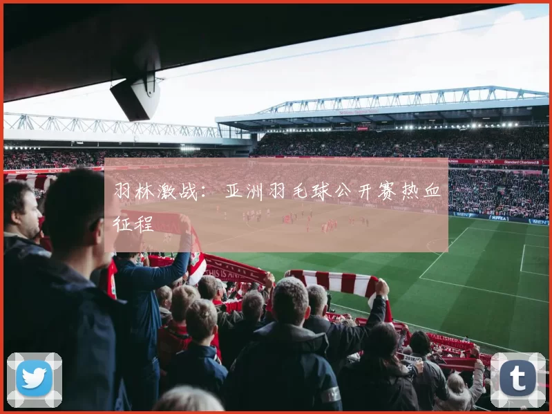 羽林激战：亚洲羽毛球公开赛热血征程