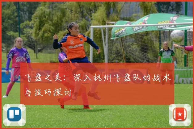 飞盘之美：深入杭州飞盘队的战术与技巧探讨