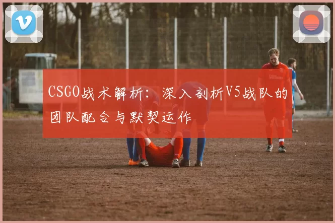 CSGO战术解析：深入剖析V5战队的团队配合与默契运作
