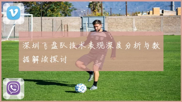 深圳飞盘队技术表现深度分析与数据解读探讨